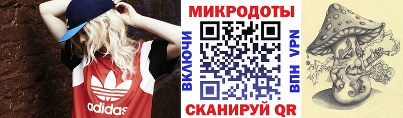 Галлюциногенные грибы Psilocybine cubensis  Карачев 